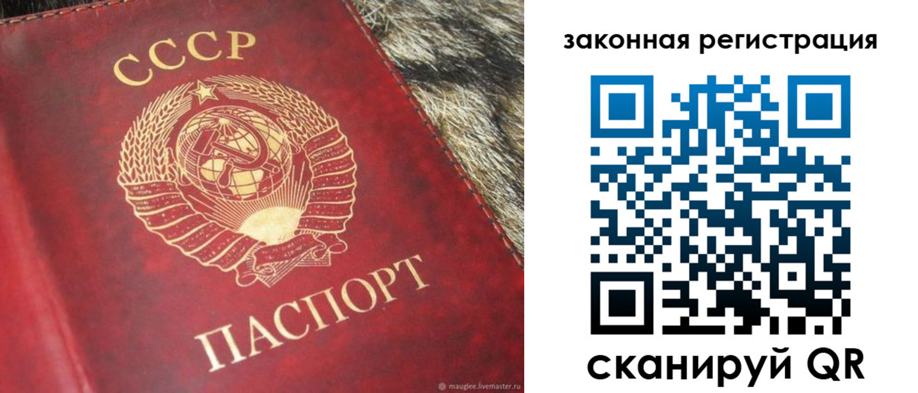 прописка от собственника в Лыткарино