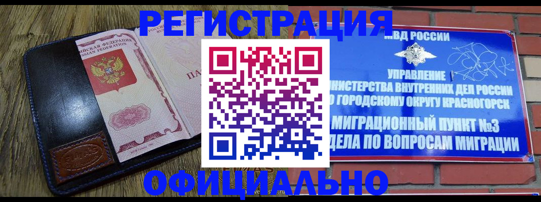 временная регистрация для школы в Лыткарино